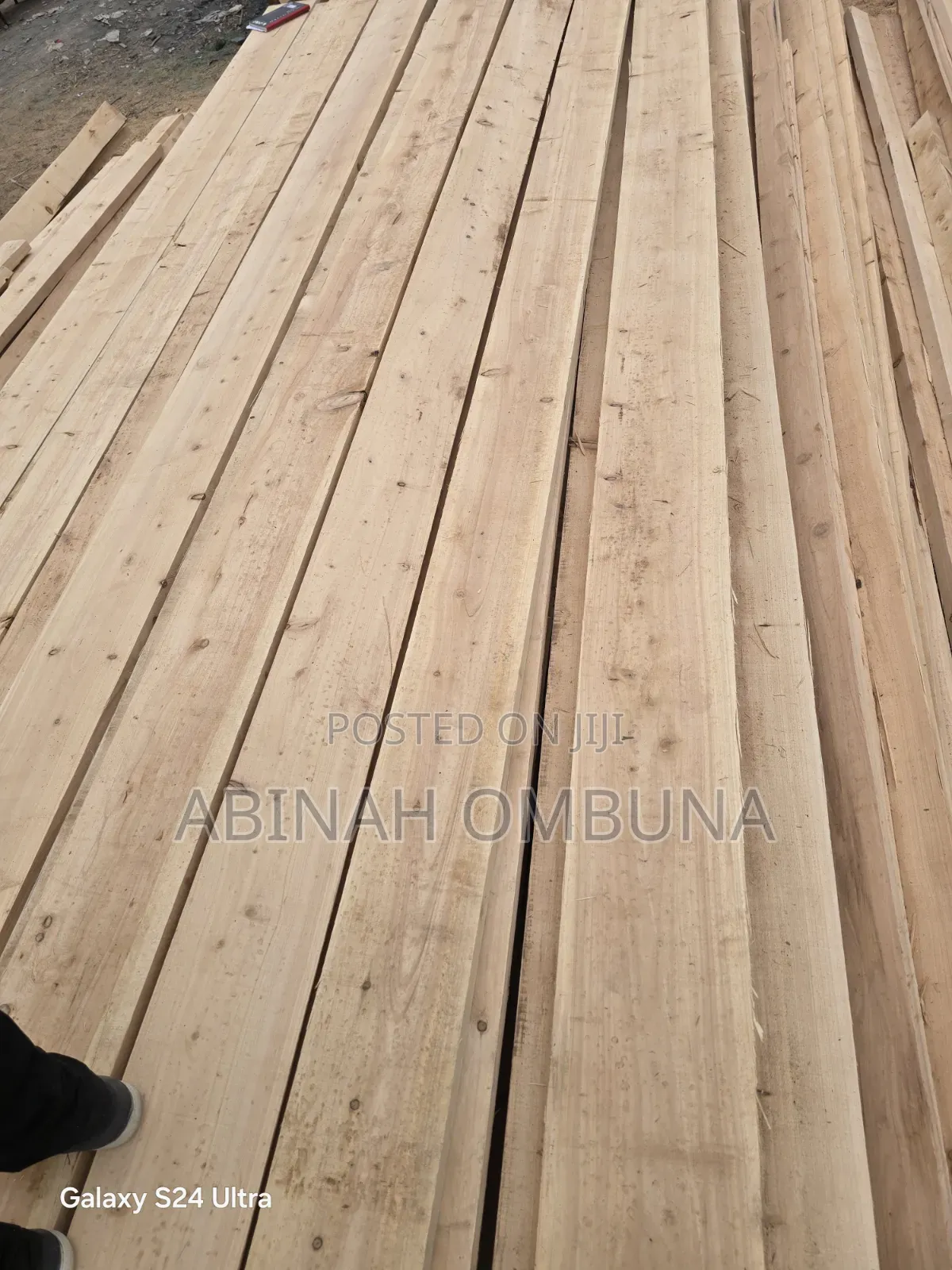 Pine Timber