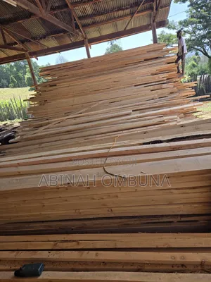 Pine Timber