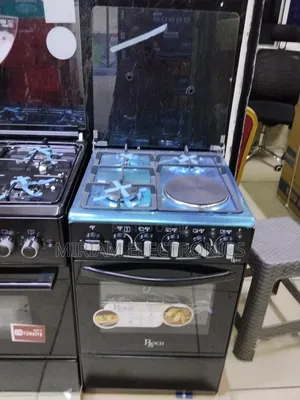 Roch Standing Cooker (50×55 Cm)