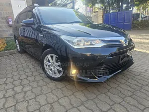 Toyota Corolla Fielder 2019 Black