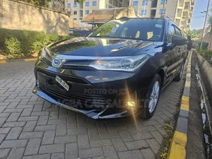 Toyota Corolla Fielder 2019 Black