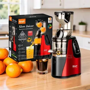 High Durability RAF R.2831 400Ml Slow Juicer Juice Extractor