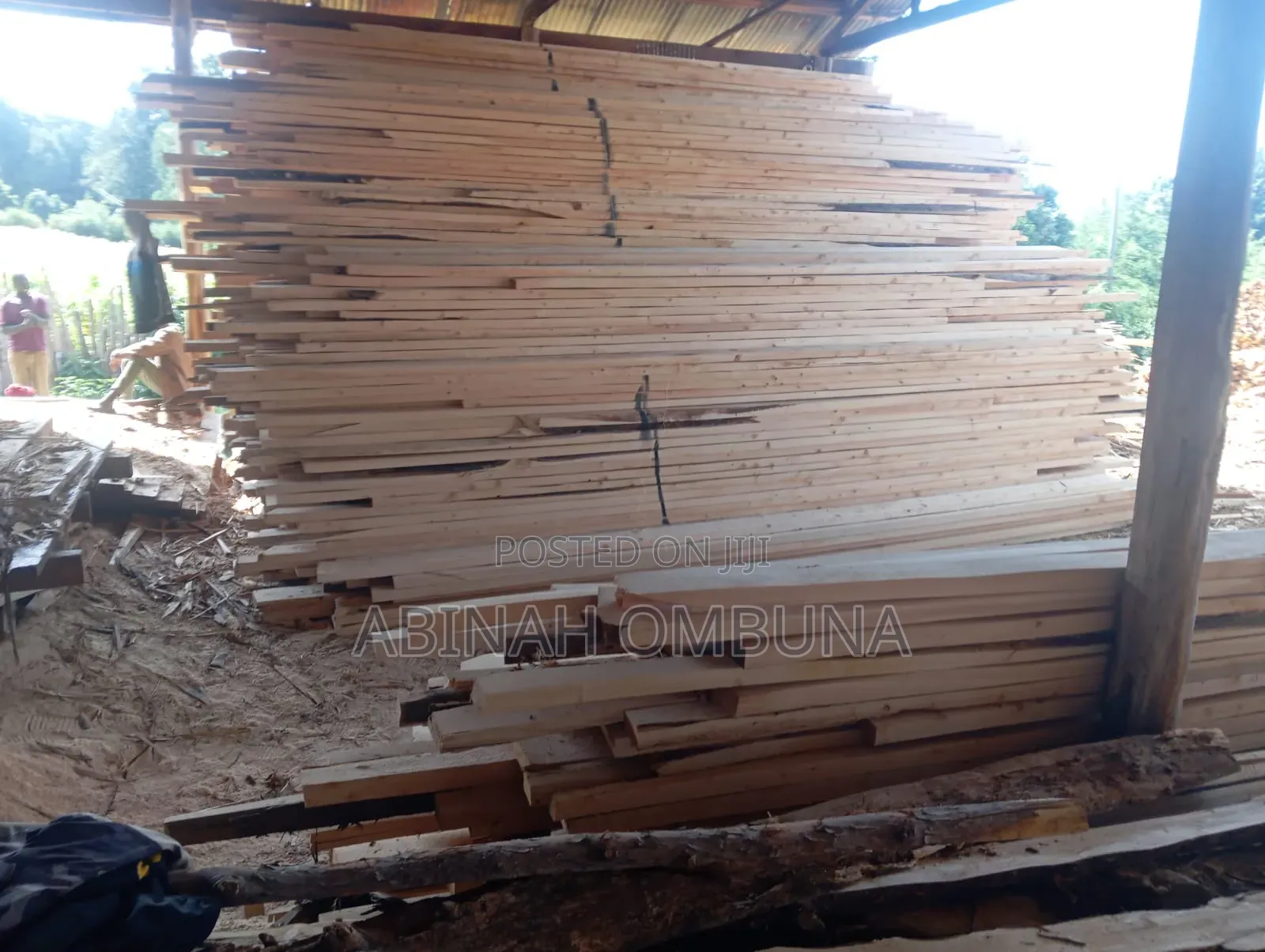 Mbao Ya Cypress Na Mbao Ya Bluegum Tunayo