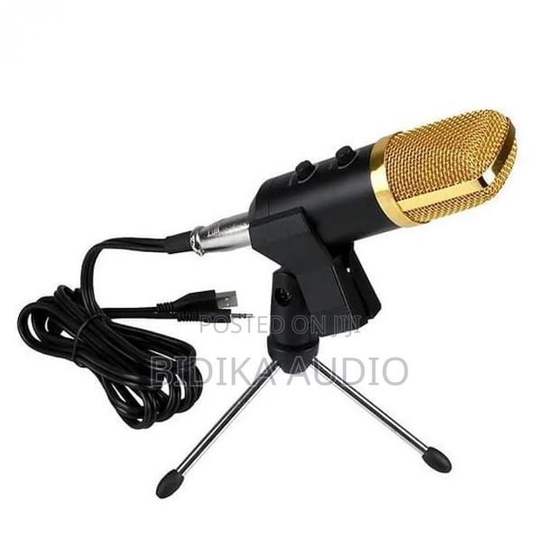 BM-100 USB Condenser Recording Microphone - main view