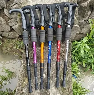 Anti Shock Trekking Pole