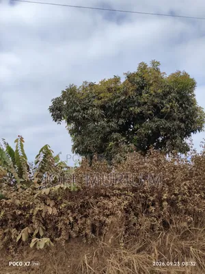 50/100 Plot Kantafu WND 13⁄4 Acres at 30m