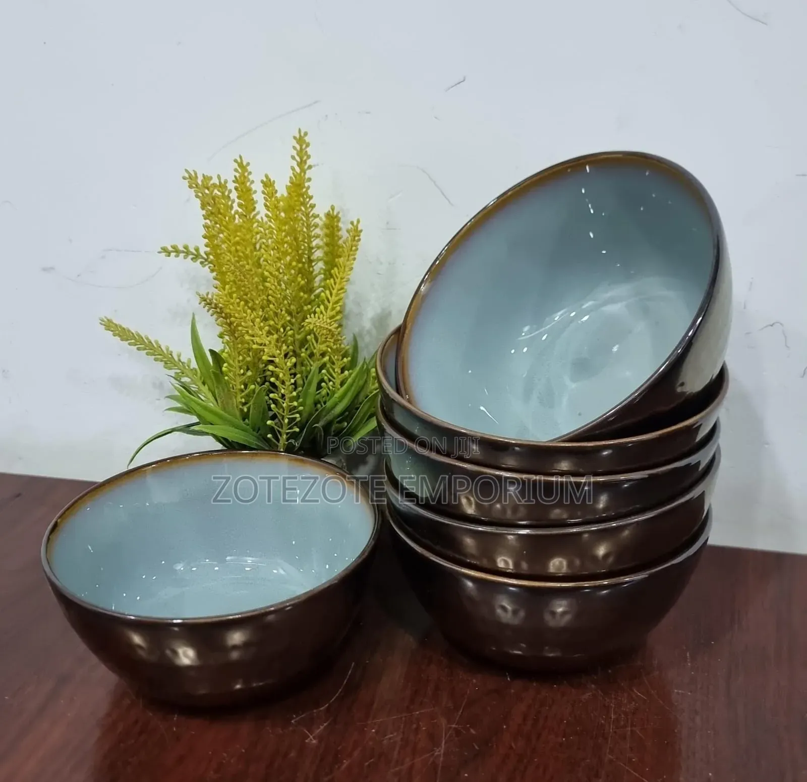 6pcs Ceramic Dinner Bowls