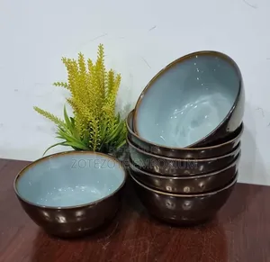 6pcs Ceramic Dinner Bowls