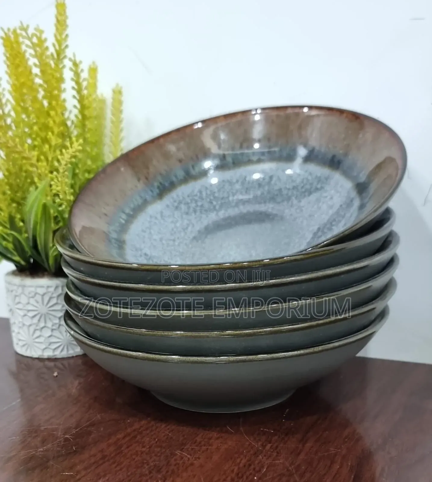 6pcs Ceramic Dinner Bowls