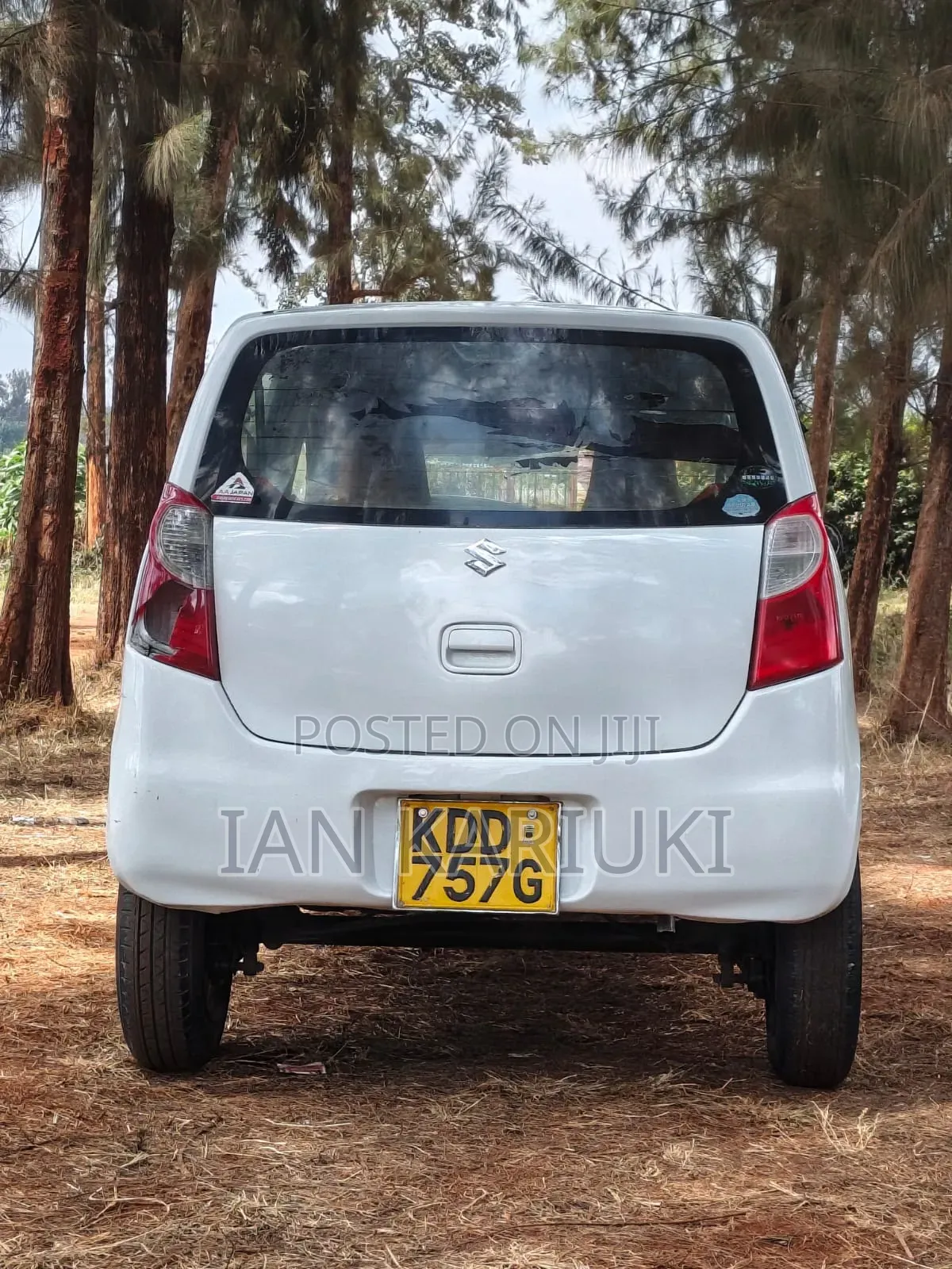Suzuki Alto 2016 White