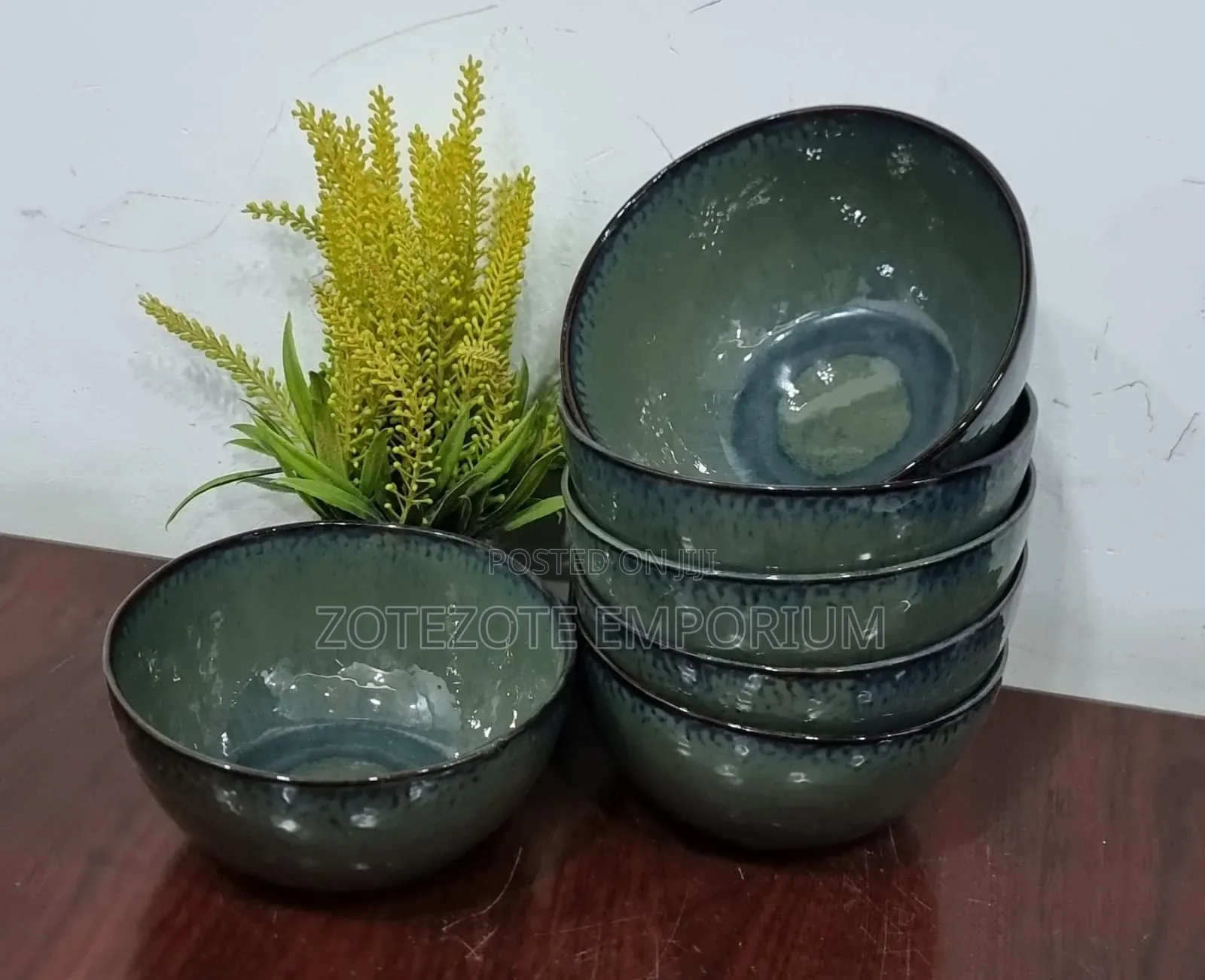6pcs Ceramic Dinner Bowls