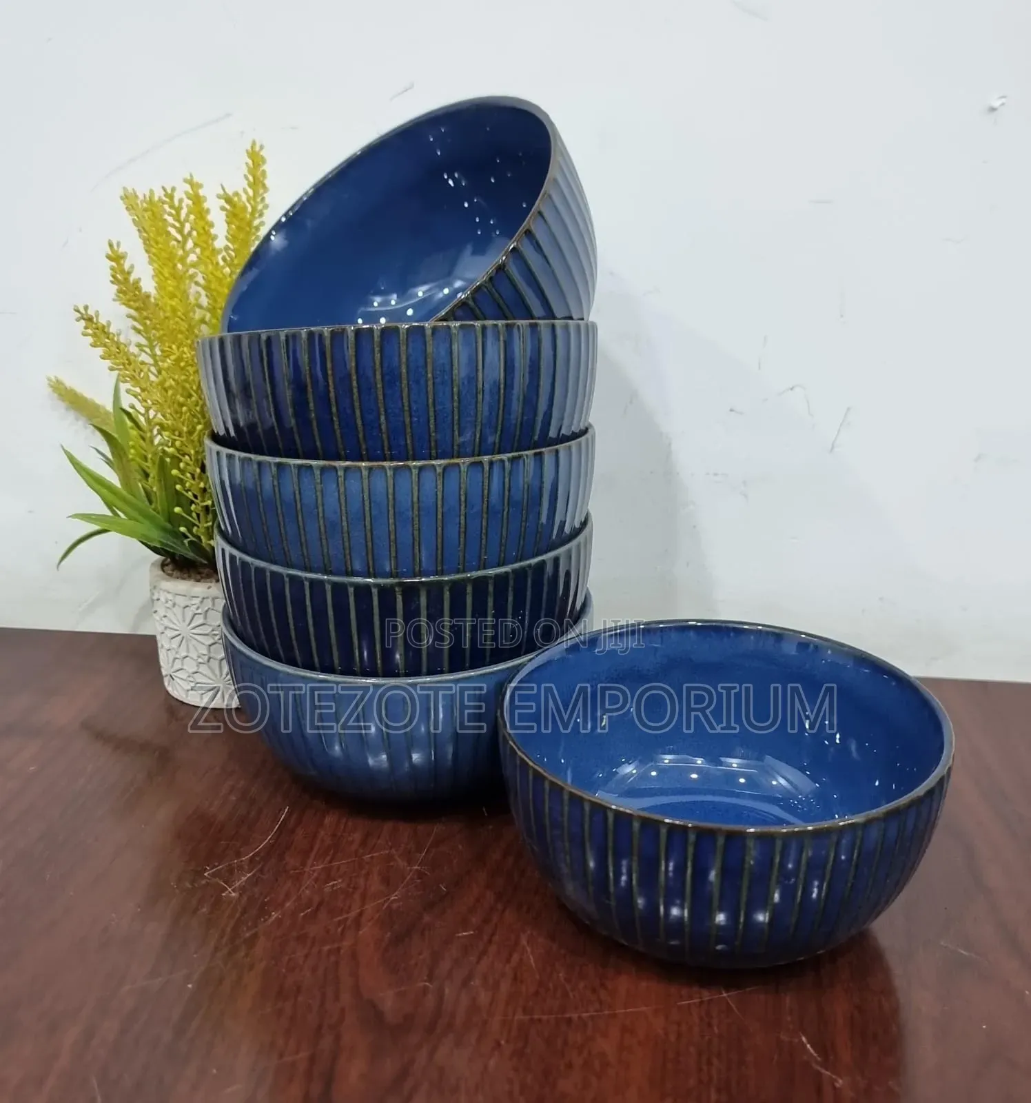6pcs Ceramic Dinner Bowls