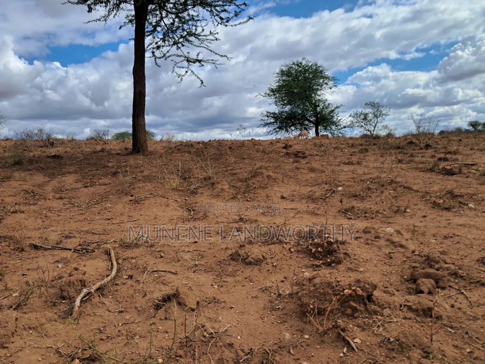 Embu County,Mbeere 17 Agricultural Farm With a Big Dam