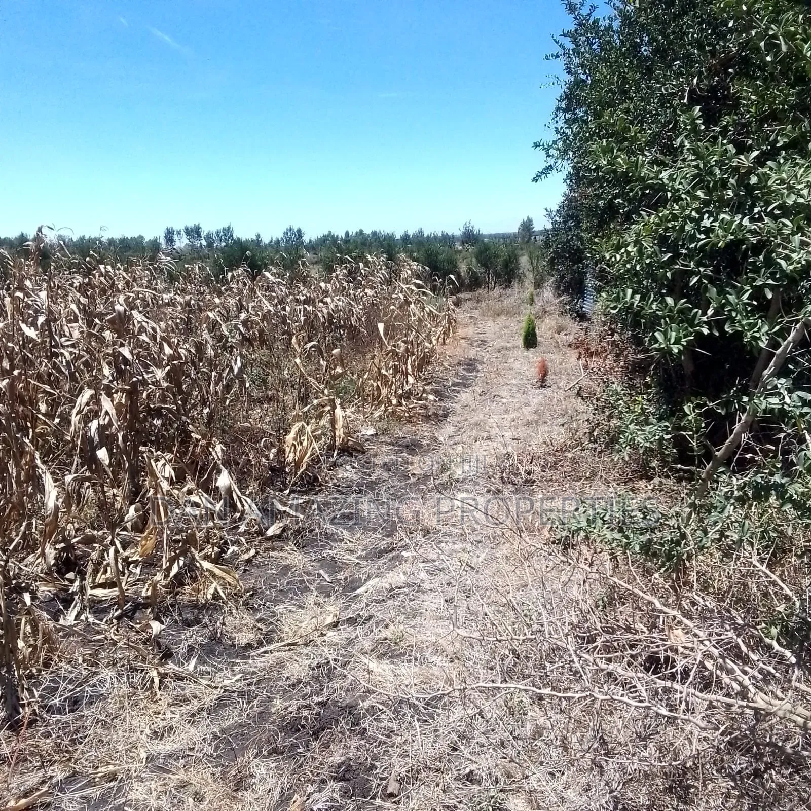 1/2 Acre Plot for Sale Near Happyland SCH Kiserian Isinya Road