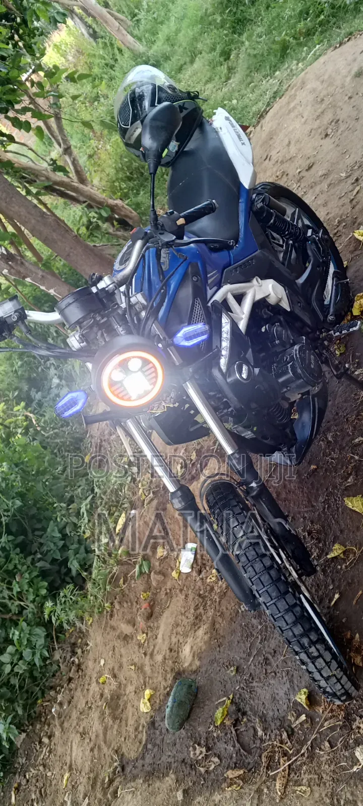 UM Rockville 300 2014 Blue