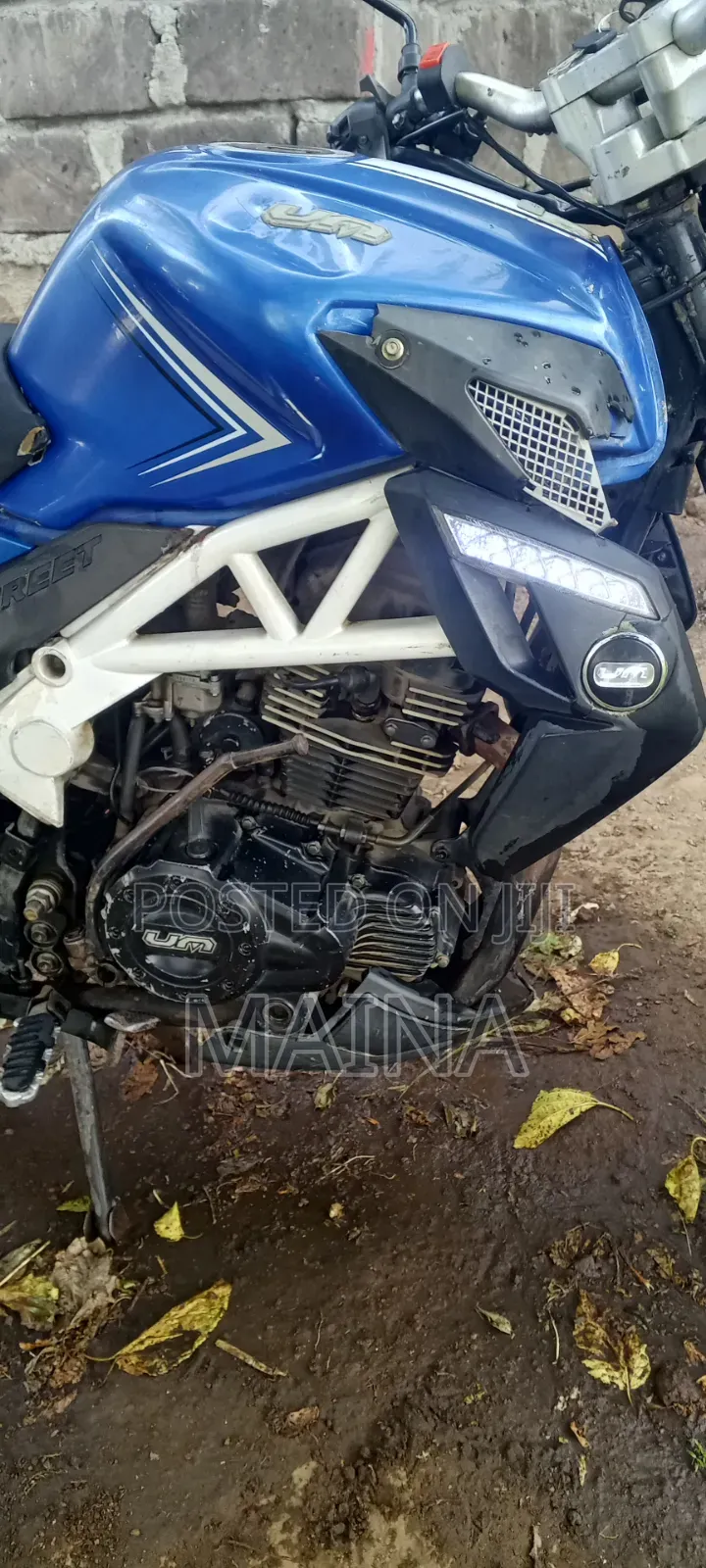 UM Rockville 300 2014 Blue