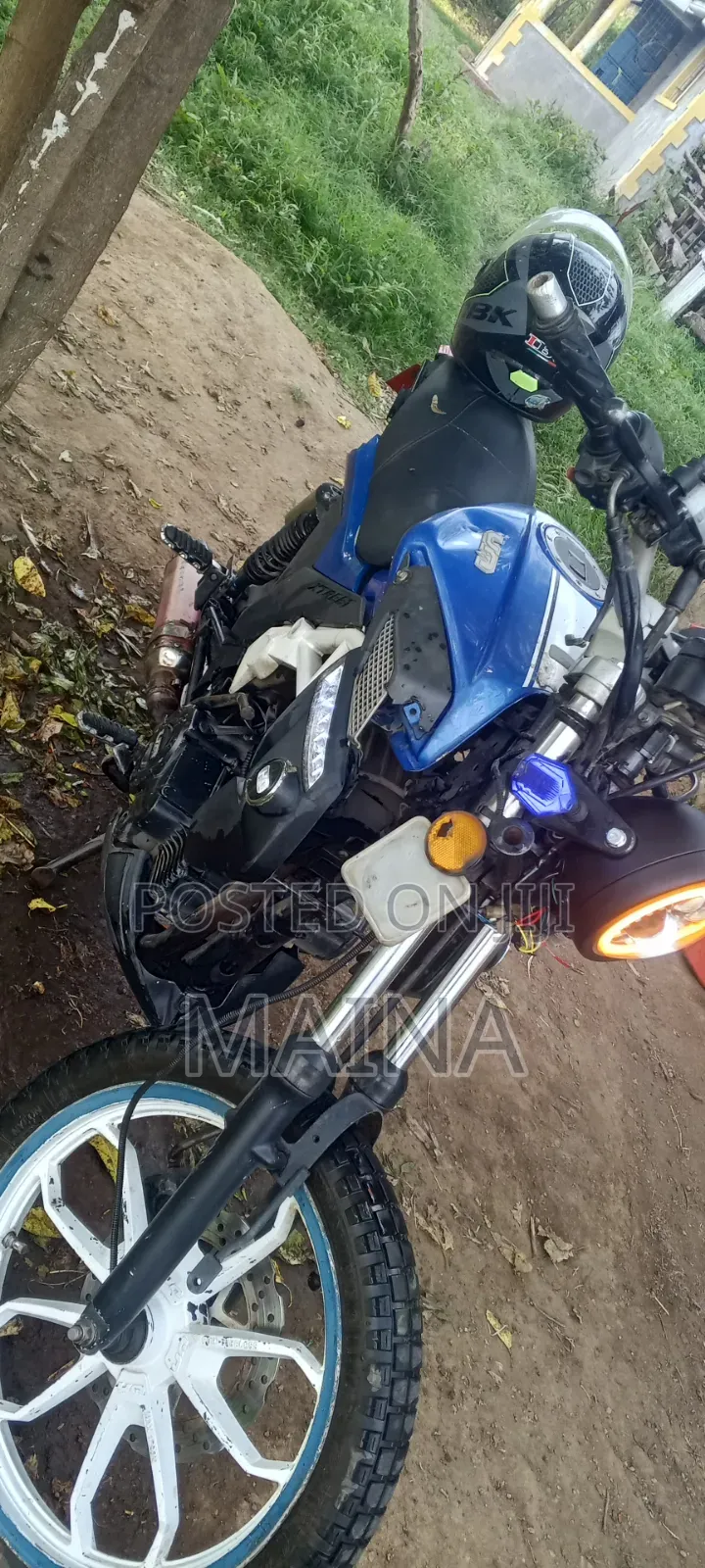 UM Rockville 300 2014 Blue