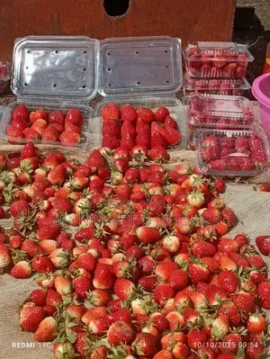 Organic Strawberry Fruits