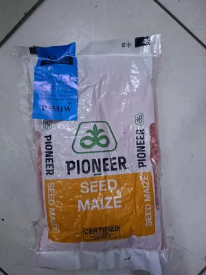 Pioneer Maize Seeds P3531w 2kg