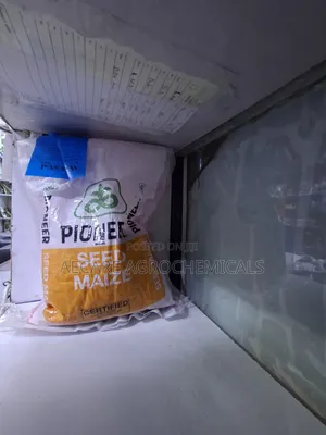 Pioneer Maize Seeds P3531w 2kg