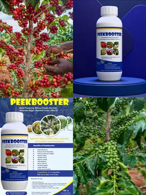 PeekBooster