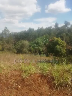 Meru Nkubu 1acre Ideal for Farming and a Home