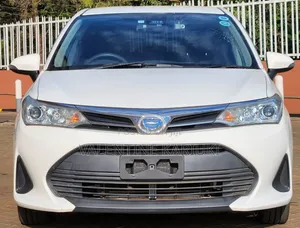 Toyota Corolla Fielder 2019 White