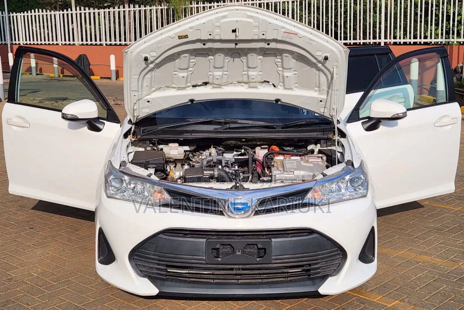 Toyota Corolla Fielder 2019 White