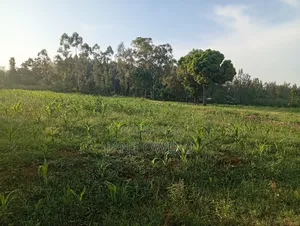 East Suna Kakrao Migori