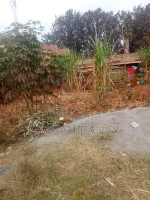 50 by 100 Plot for Sale in Ngoingwa Thika
