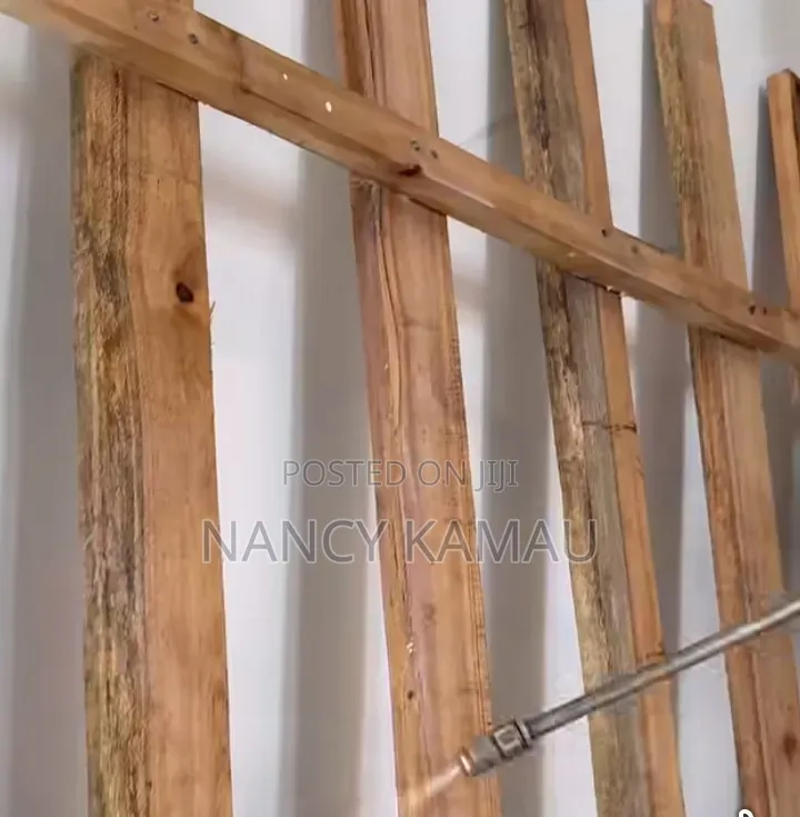 Pest Spraying