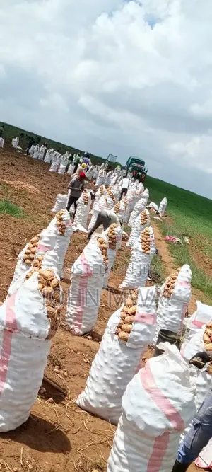 Viazi ( Potatoes and Onions