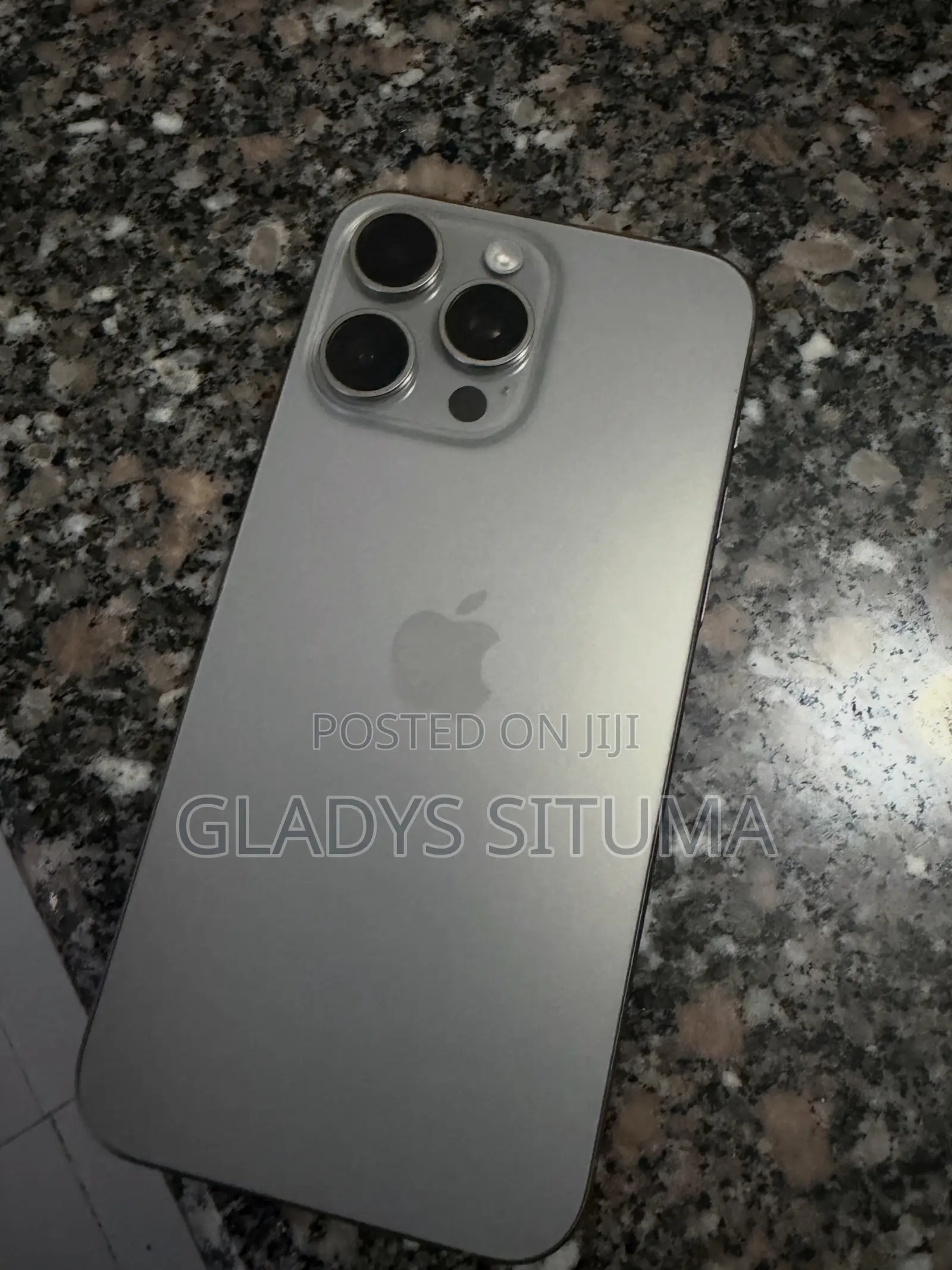 Apple iPhone 15 Pro Max 256 GB Gray