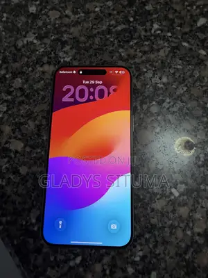 Apple iPhone 15 Pro Max 256 GB Gray