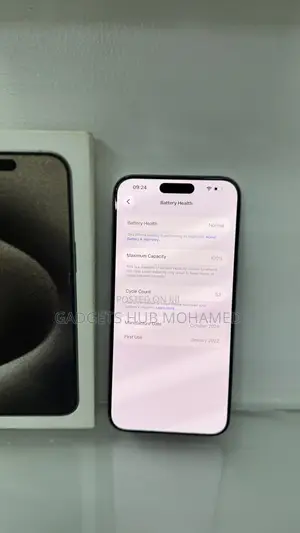 Apple iPhone 15 Pro Max 256 GB