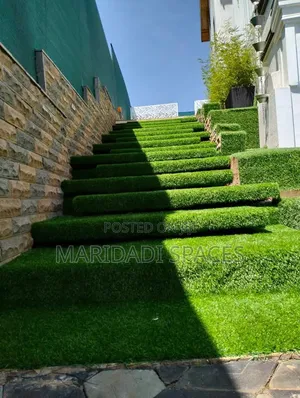 Green All Year,no Water Needed Turf Grass