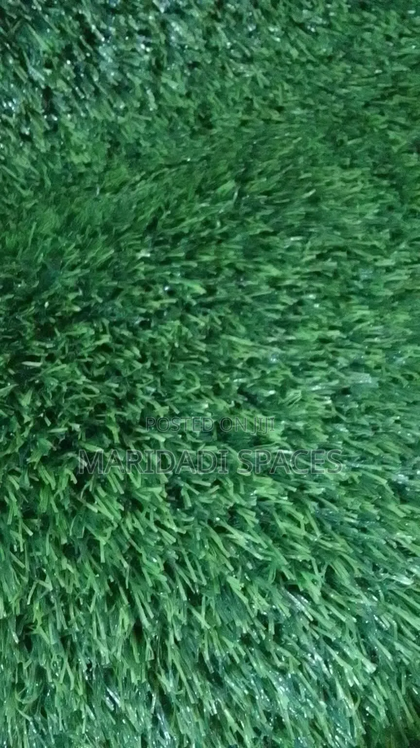 From Dust to Green in One Day