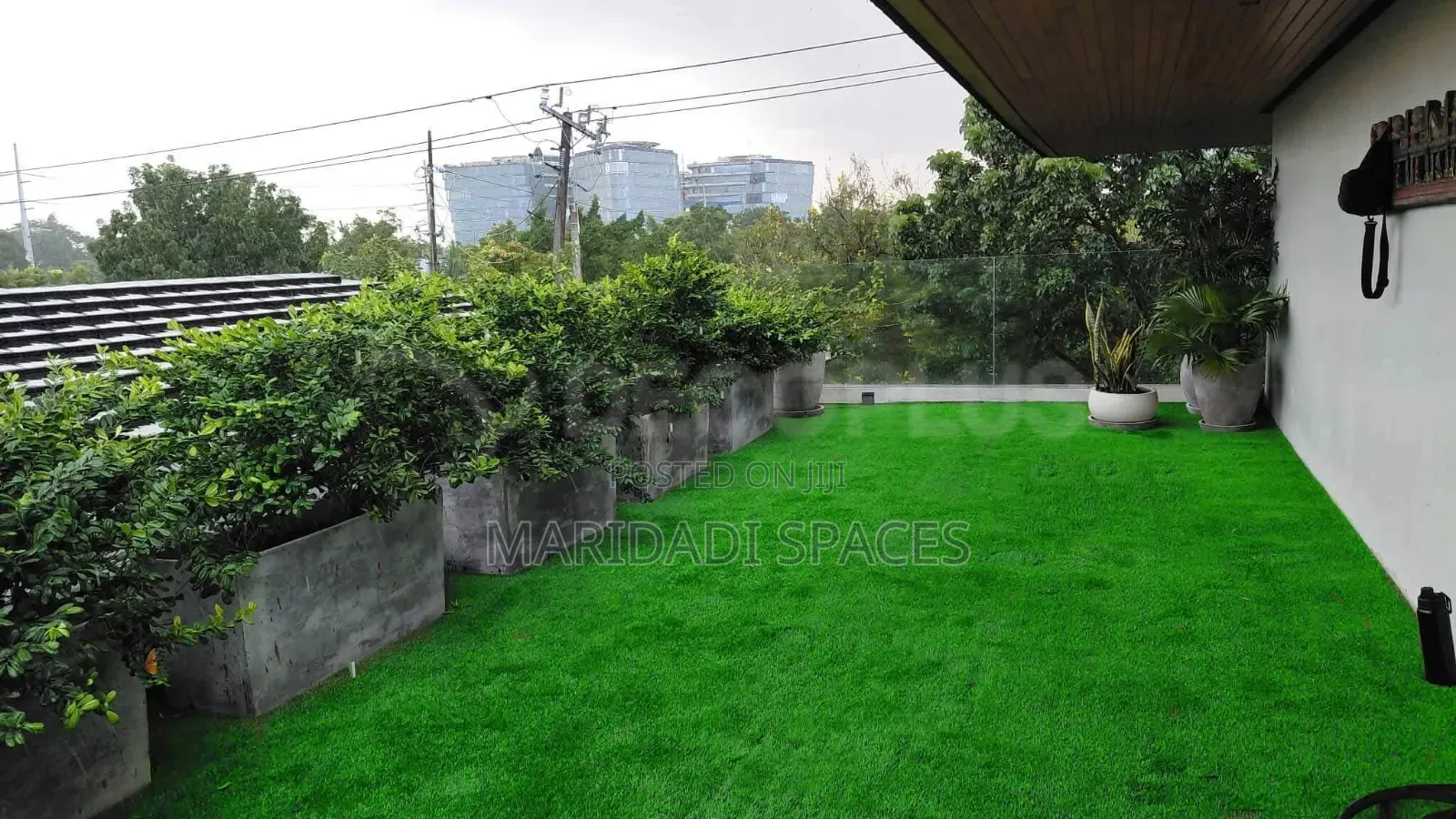 Your Backyard Will Stay Green Forever