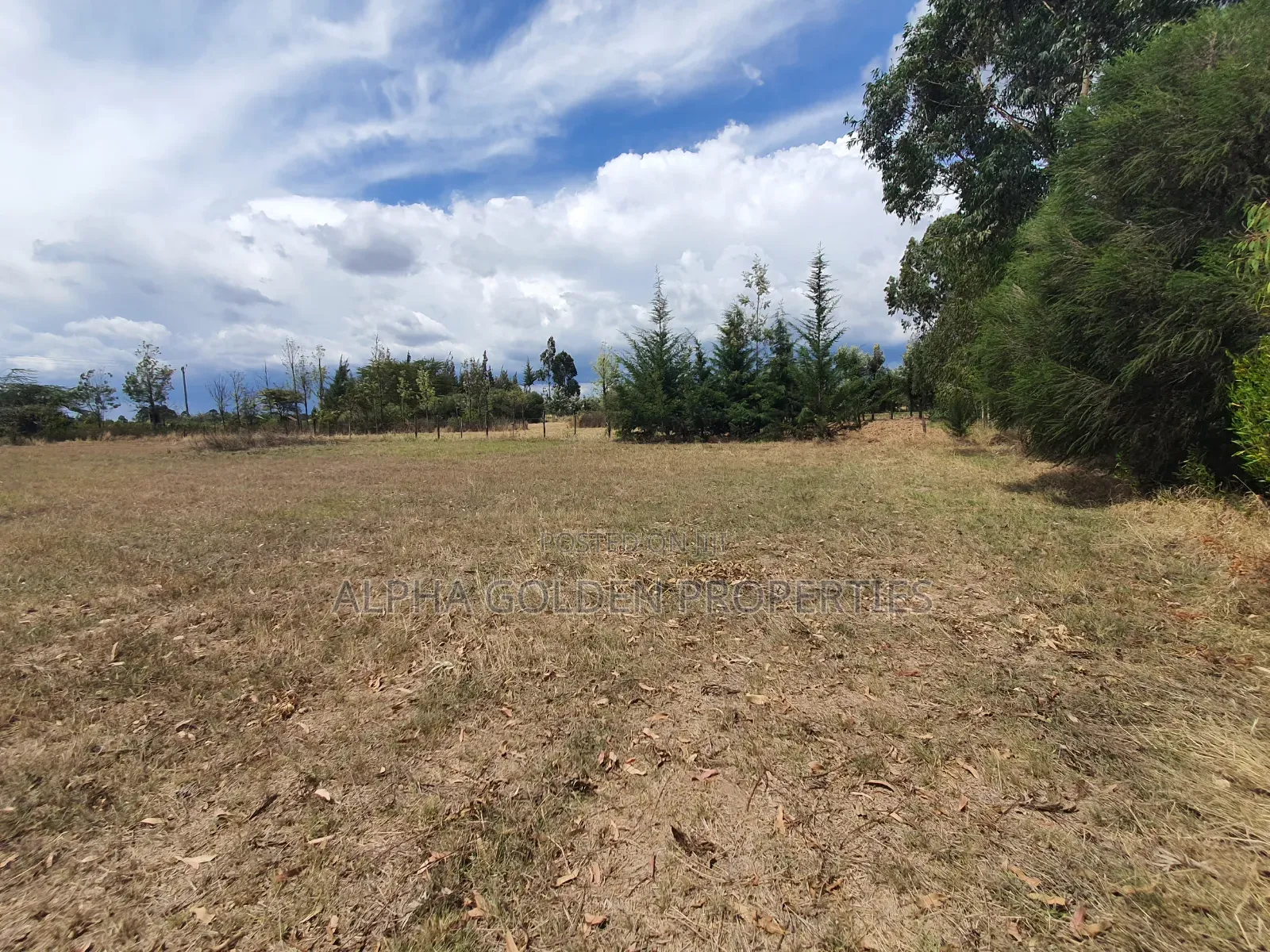 1 Acre Near Nanyuki Airfield
