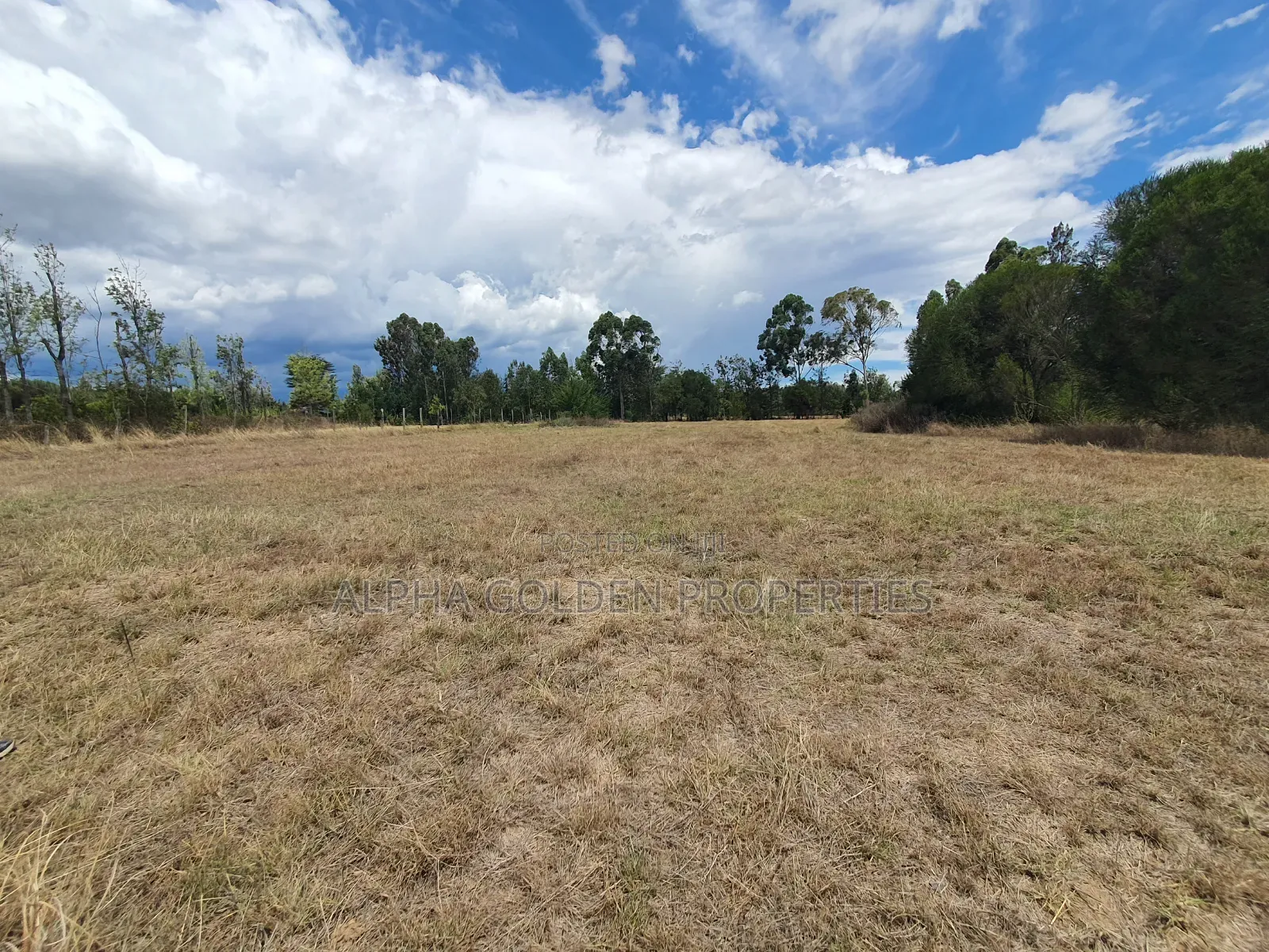 1 Acre Near Nanyuki Airfield