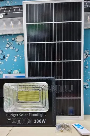 300watts Budget Solar Light