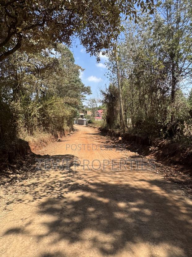 Half Acre Chavara Kibiku - thumbnail 3