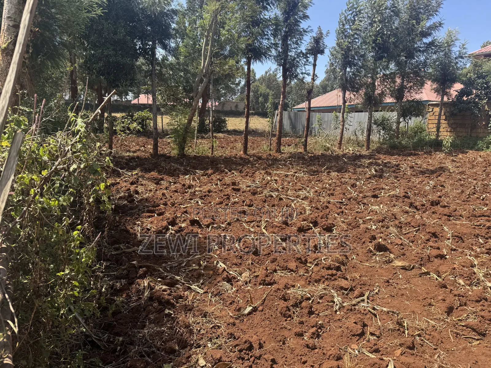 1/8 Plot Chavara Kibiku