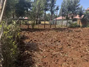1/8 Plot Chavara Kibiku