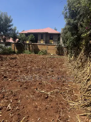 1/8 Plot Chavara Kibiku