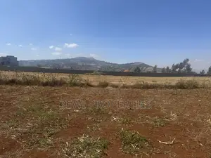 Prime 1/8 Acre Kibiku Chavara