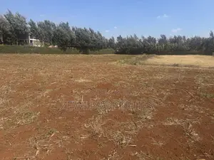 Prime 1/8 Acre Kibiku Chavara