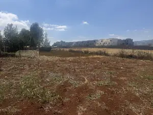 Prime 1/8 Acre Kibiku Chavara