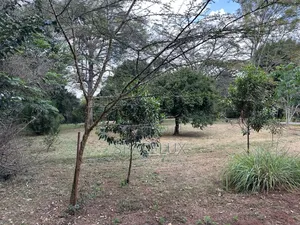 Kilimani 0.5 Acres Prime Land