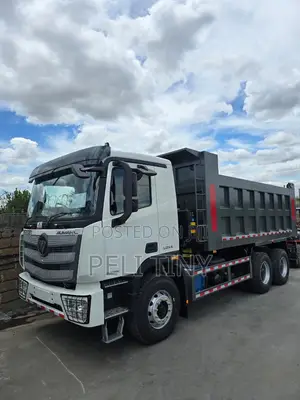 Foton Auman